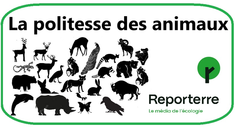 La politesse des animaux